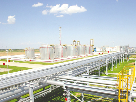 防爆插销：筑牢危险环境用电安全的第一道防线