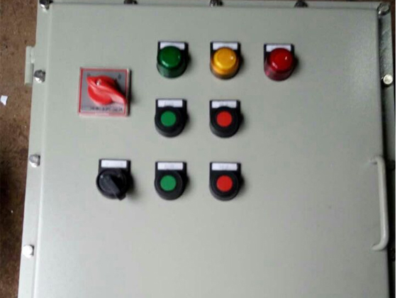 浙江友泰防爆按钮箱：防误触结构设计，制药洁净车间安全操作必备