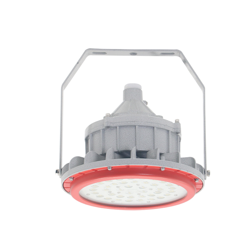 LED免维护防爆灯(支架式)