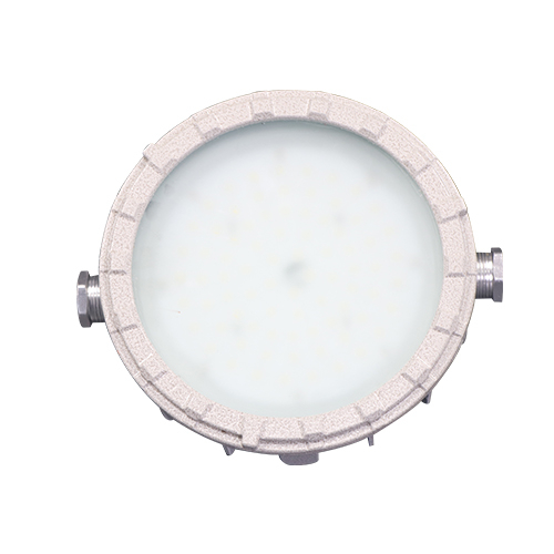 BZD155系列防爆免维护LED照明(吸顶)灯